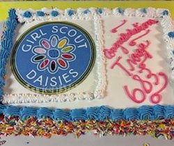 Carvel Girl Scout Cake